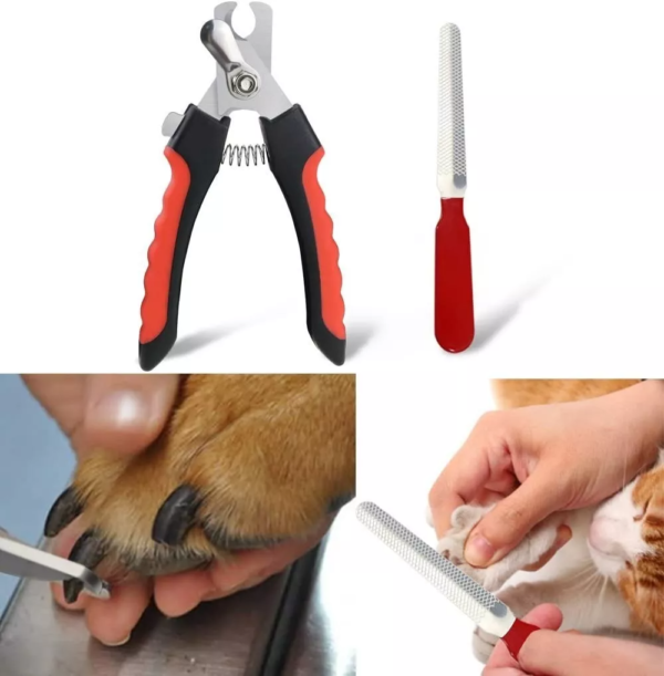 Set Alicate Corta Uñas + Lima Profesional Gatos Perros