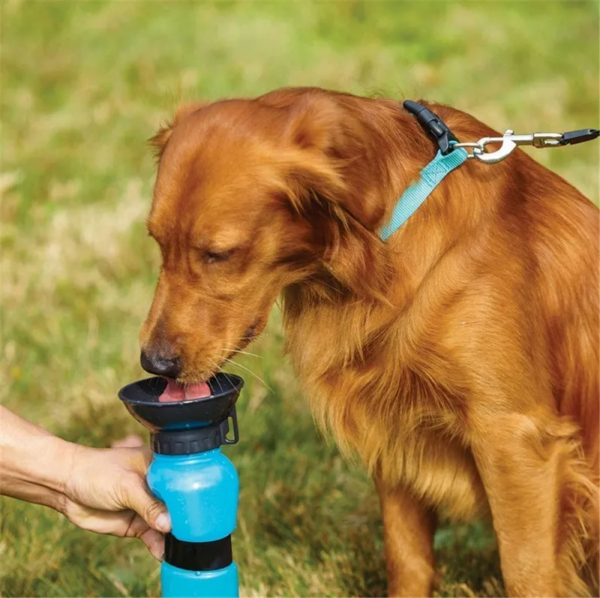 Bebedero Botella De Agua Portatil Para Mascotas