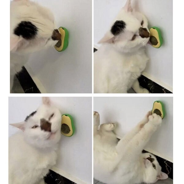 Juguete interactivo de palta giratorio para gato